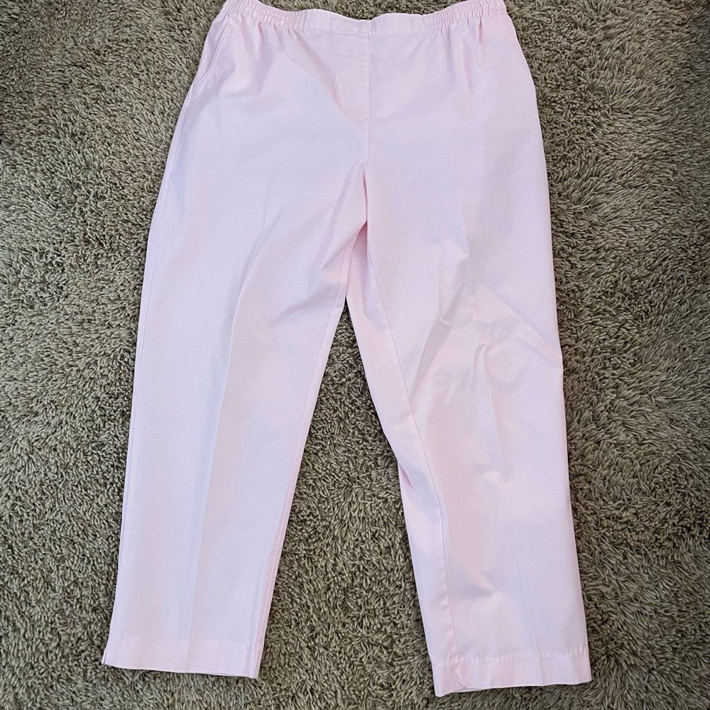 The Tog Shop pink pants size 18P